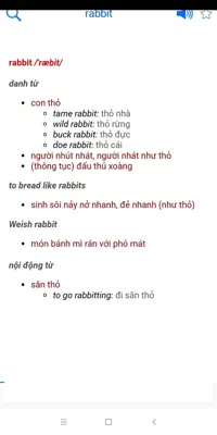 English Vietnamese dictionary android App screenshot 0